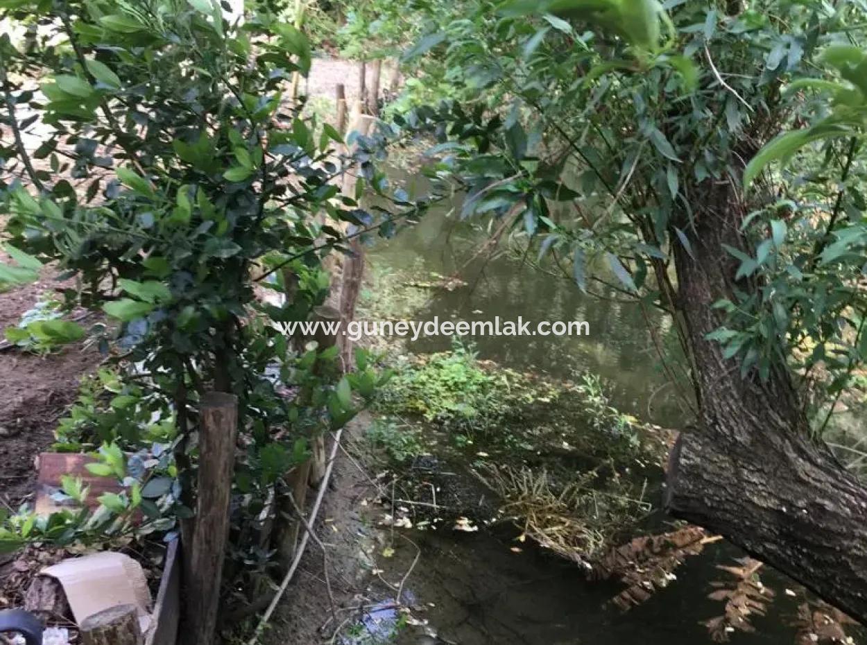 Muğla Ortaca Okçularda Eşyasız Kiralık 2+1 Bahçeli Köy Evi