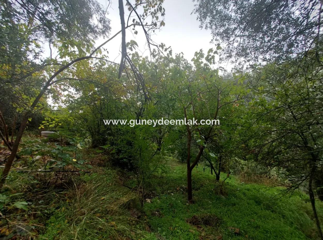 Muğla Fethiye İnlice’de Doğa İçinde Satılık Tapulu Köy Evi