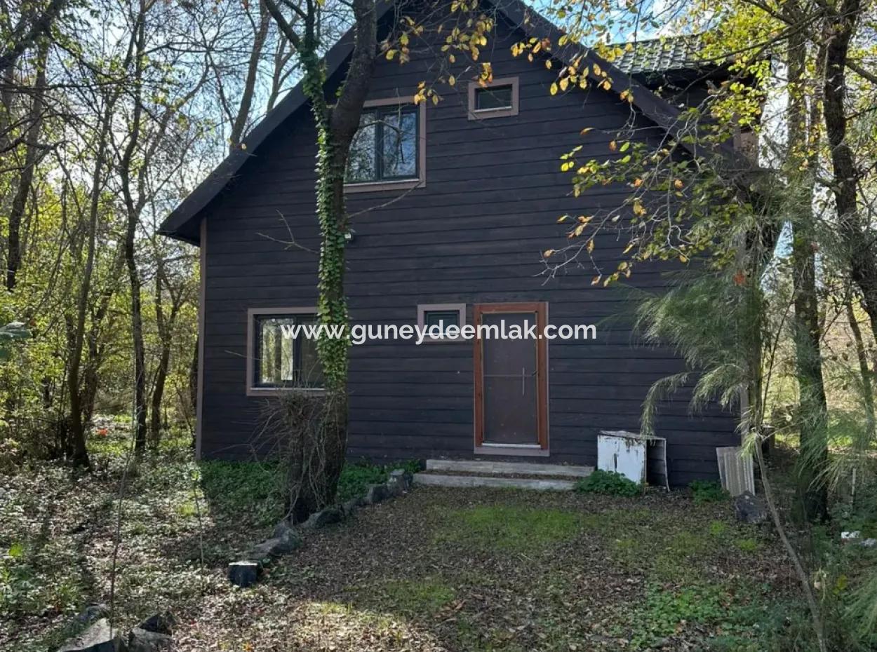 Ortaca Yeşilyurt Da 12 000 M2 Tarla Satılık