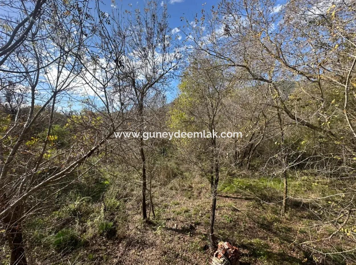 Ortaca Yeşilyurt Da 12 000 M2 Tarla Satılık