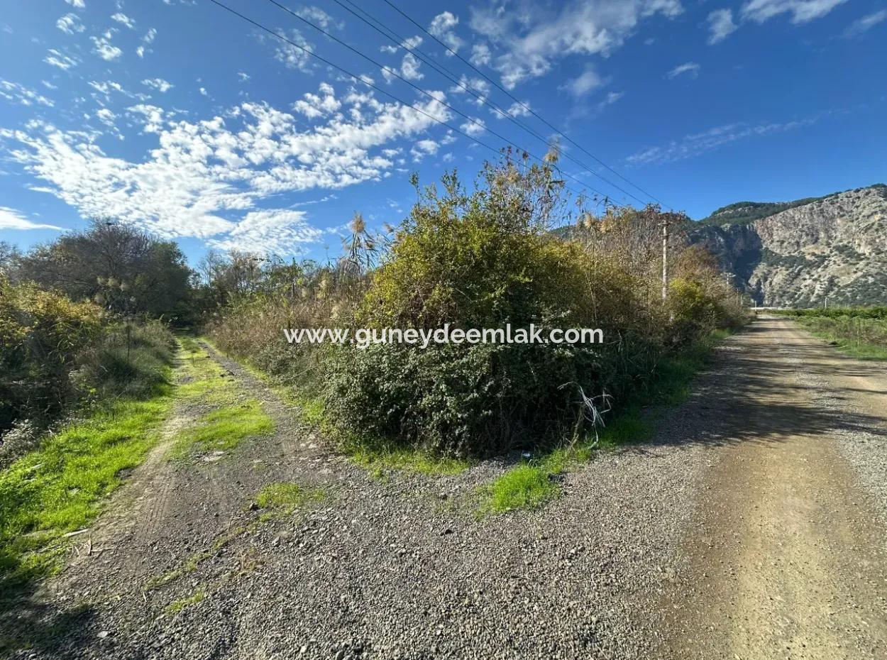 Ortaca Yeşilyurt Da 12 000 M2 Tarla Satılık