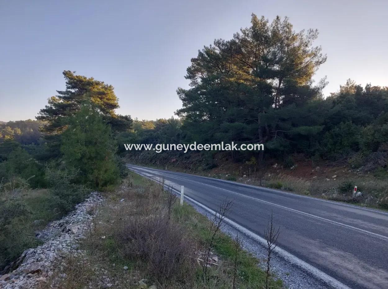 Muğla Ula  Kızılyaka 790M2 Hazine Arazisi Zilliyet Hakkı Devir Edilecek Veya  Araç Takas Olur