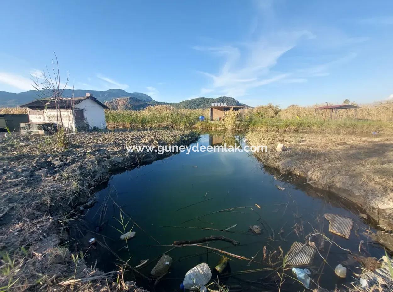 Muğla Ortaca Dalyan’da Kanal Kenarında Tekne Bağlama Yeri Olan Konteyner – Satılık