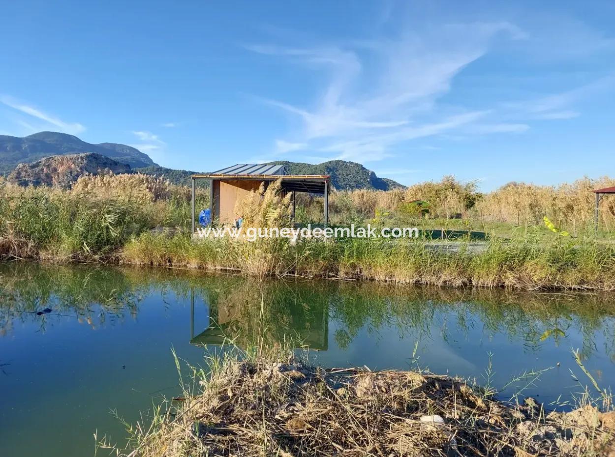 Muğla Ortaca Dalyan’da Kanal Kenarında Tekne Bağlama Yeri Olan Konteyner – Satılık