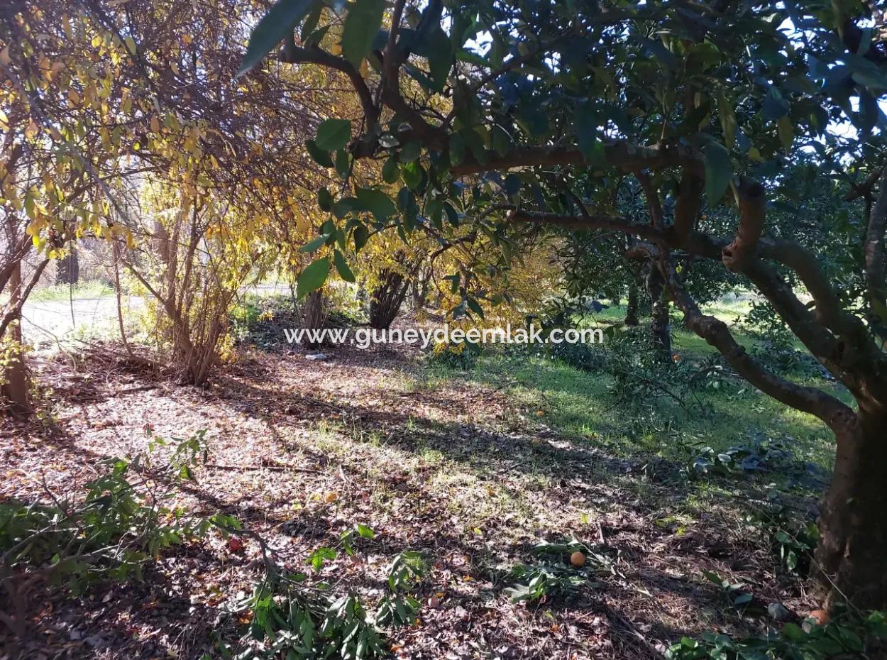 Ortaca Okçularda  250 M2 İnşaat Hakkı Olan, 1000M2 Müstakil Arsa Satılık