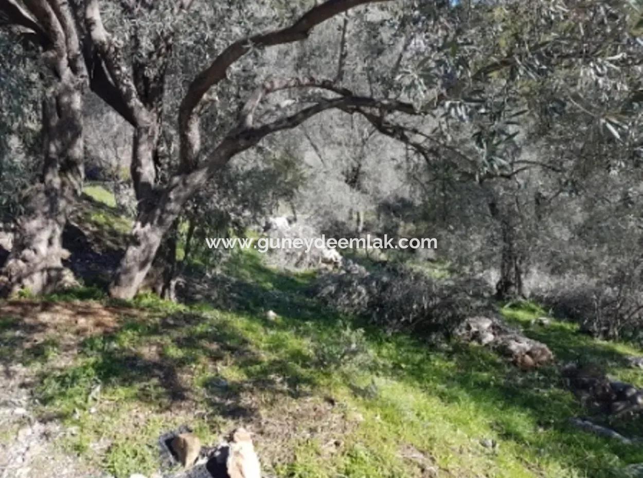 Göcek Gökçeovacıkta Satılık Deniz Manzaralı Arazi