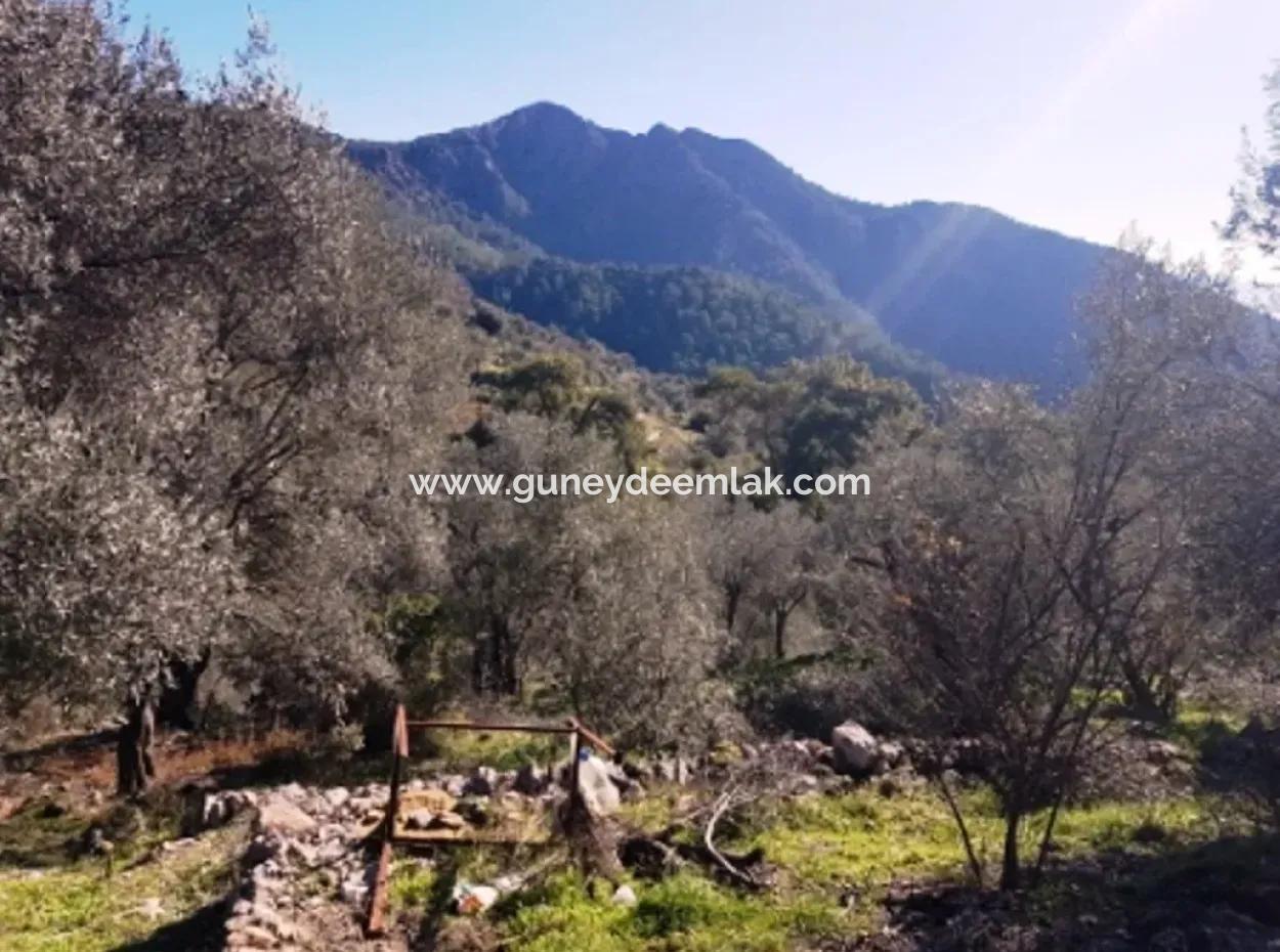 Göcek Gökçeovacıkta Satılık Deniz Manzaralı Arazi