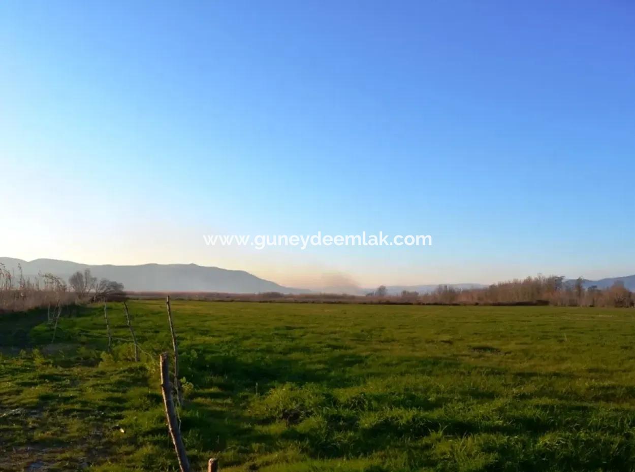 Ula Karaböğürtlende Acil Satılık Kelepir Arazi