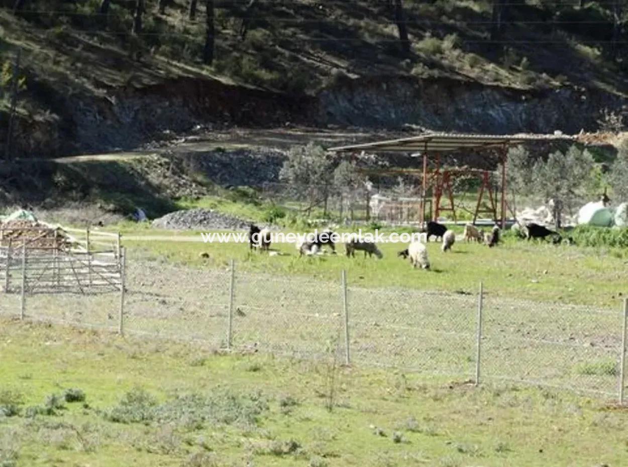 Ortaca Gölbaşında 10,000 M2 Yatırıma Uygun Arazi Satılık