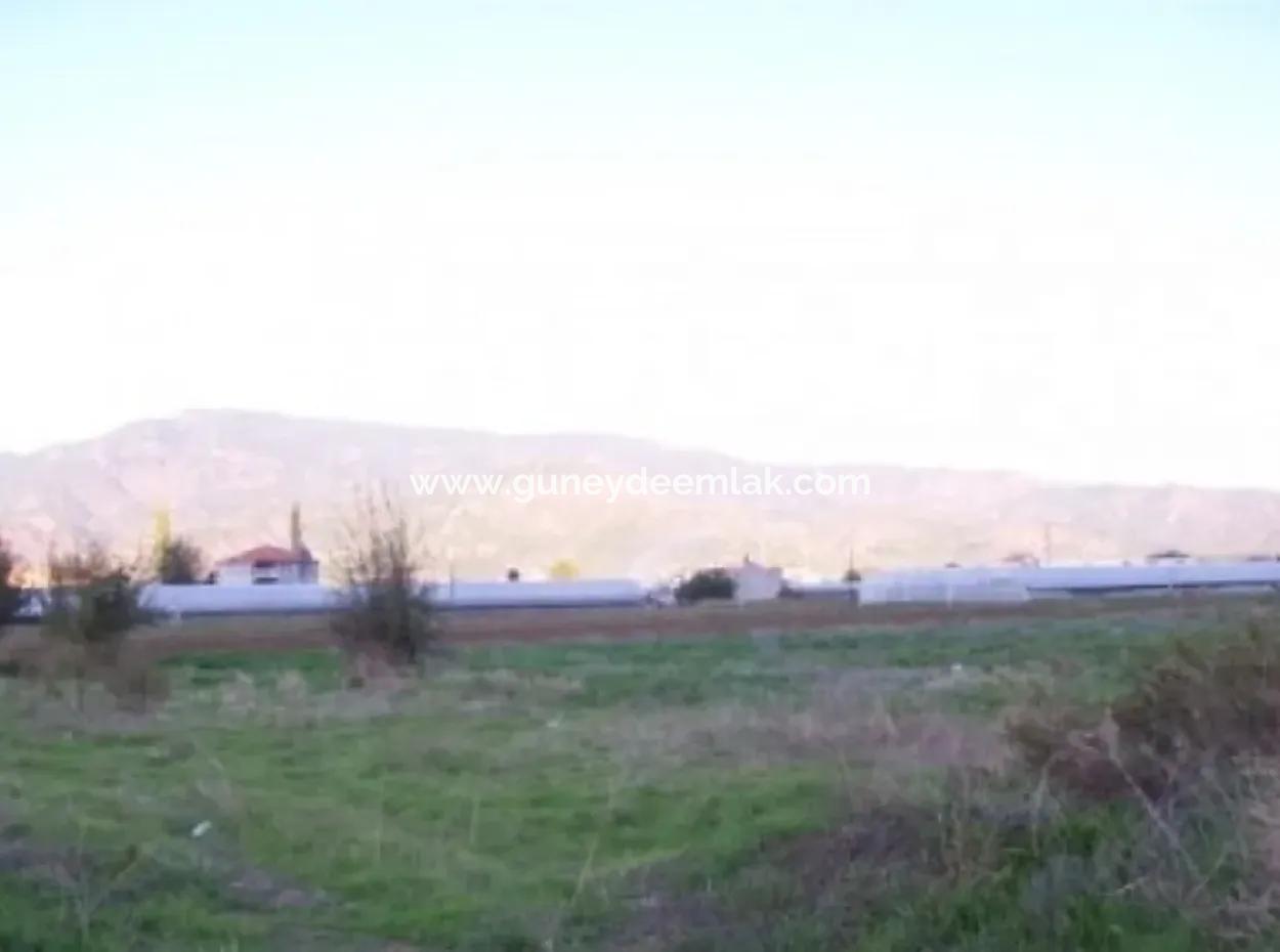 Fethiye Esenköy De Yatırıma Uygun Arazi Satılık