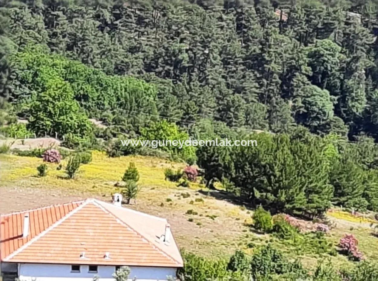 Köyceğiz Yayla, Ağla Köyünde Göl Manzaralı Yatırıma Uygun Müstakil Arazi Satılık