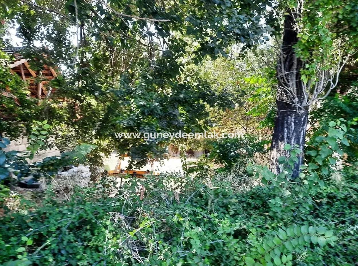 Ortaca Dalaklıda Ana Yola Sıfır Arsa Satılık