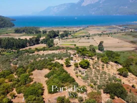 Ula Gökçede Deniz Manzaralı 600 M2 Koop Hissesi Satılık