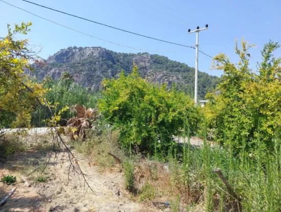 Muğla Dalyan'da İmara Sıfır, Dalyan Kanalına Yakın 2.800 M² Satılık Arazi