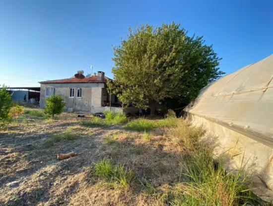 Ortaca Eskiköy De 5200 M2 Tarla İçinde Müstakil Ev Ve Sera Satılık