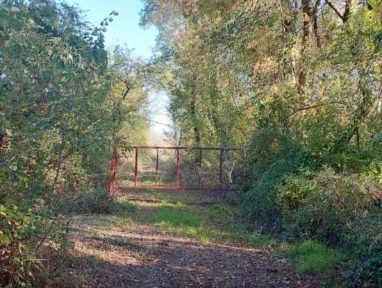 Köyceğiz Toparlar Da  Göle Yakın 9 600 M2 Arazi Satılık