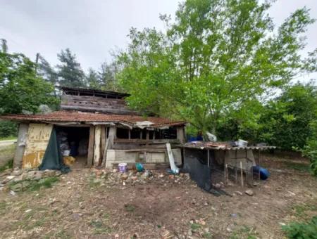 Muğla Köyceğiz Kavakarasında 6.650 M² Verimli Arazide Köy Evi Ve Çiftlik Satılık