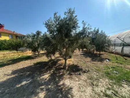Ortaca Ekşiliyurt Da 538 M2 Arsa Satılık
