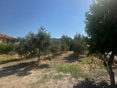 Ortaca Ekşiliyurt Da 538 M2 Arsa Satılık- 250 M2 İnşaat İzinli