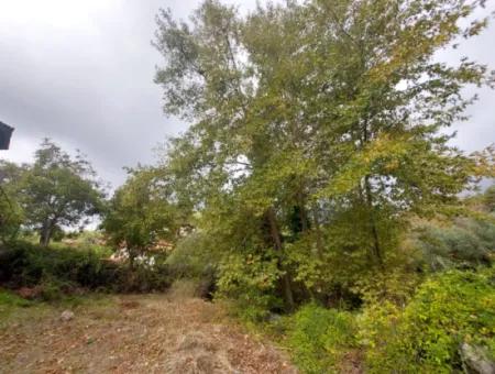 Köyceğiz Yaylada Merkezde, Müstakil  260 M2 İmarlı Arsa Satılık