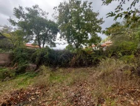 Köyceğiz Yaylada Merkezde, Müstakil  260 M2 İmarlı Arsa Satılık