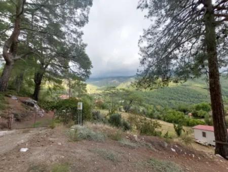 Muğla Köyceğiz Ağla - Yaylada 535 M2 Arsa Ve Tiny House Ev Satılık