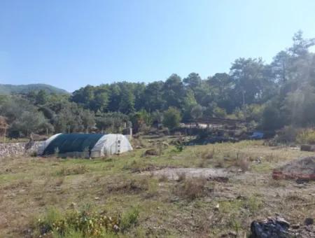 Ortaca Gökbel De Göle Yakın 400 M2 Arazi Devren Satılık