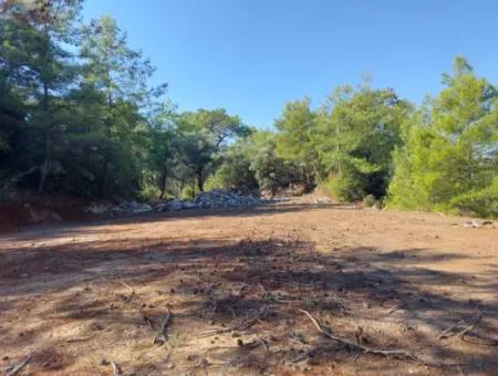 Ortaca Gökbel De Göle Yakın 400 M2 Arazi Devren Satılık