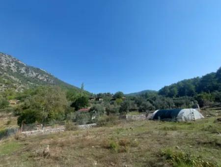 Ortaca Gökbel De Göle Yakın 400 M2 Arazi Devren Satılık