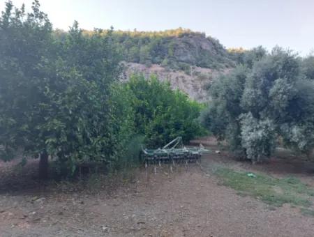 Muğla, Ortaca, Karadonlar Da 1.300 M2 Müstakil 250M2 Konut İmarlı Arsa Satılık