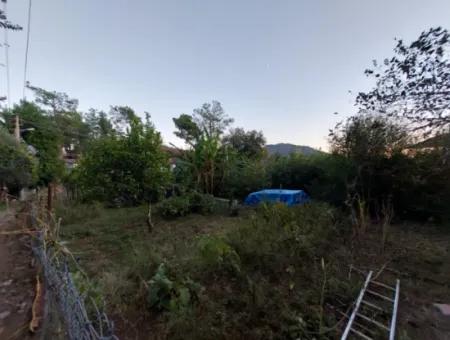 Ortaca Çaylı Da 350 M2 Müstakil Tiny House Uygun Arazi Satılık