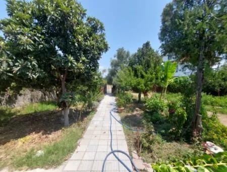 Muğla Ortaca Okçular’da Yüzme Havuzlu, Dağ Ve Doğa Manzaralı Müstakil Ev Satılık