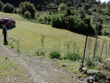 Muğla Ortaca Gökbelde 3200 M2 Hisseli Arazi Satılık